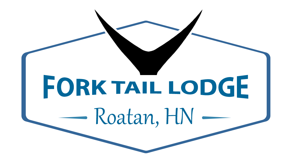 Forktail Lodge